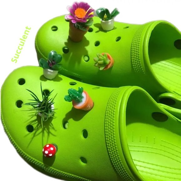 Other - Succulent shoe charm garden houseplants mushroom cactus violet